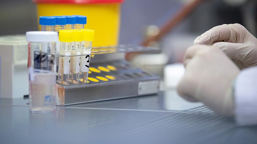 Almaniya və Niderlandda təhlükəli virus aşkar edildi