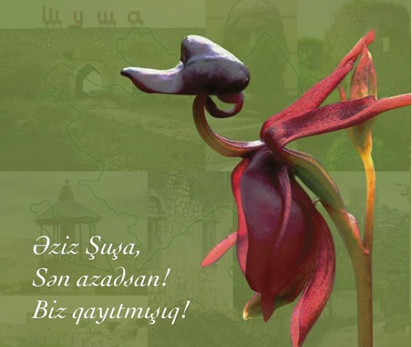 Biz Şuşamızı qaytardıq! - Mehriban Əliyeva