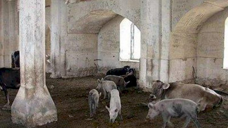 İƏT ermənilərin Qarabağdakı barbar hərəkətlərini pislədi