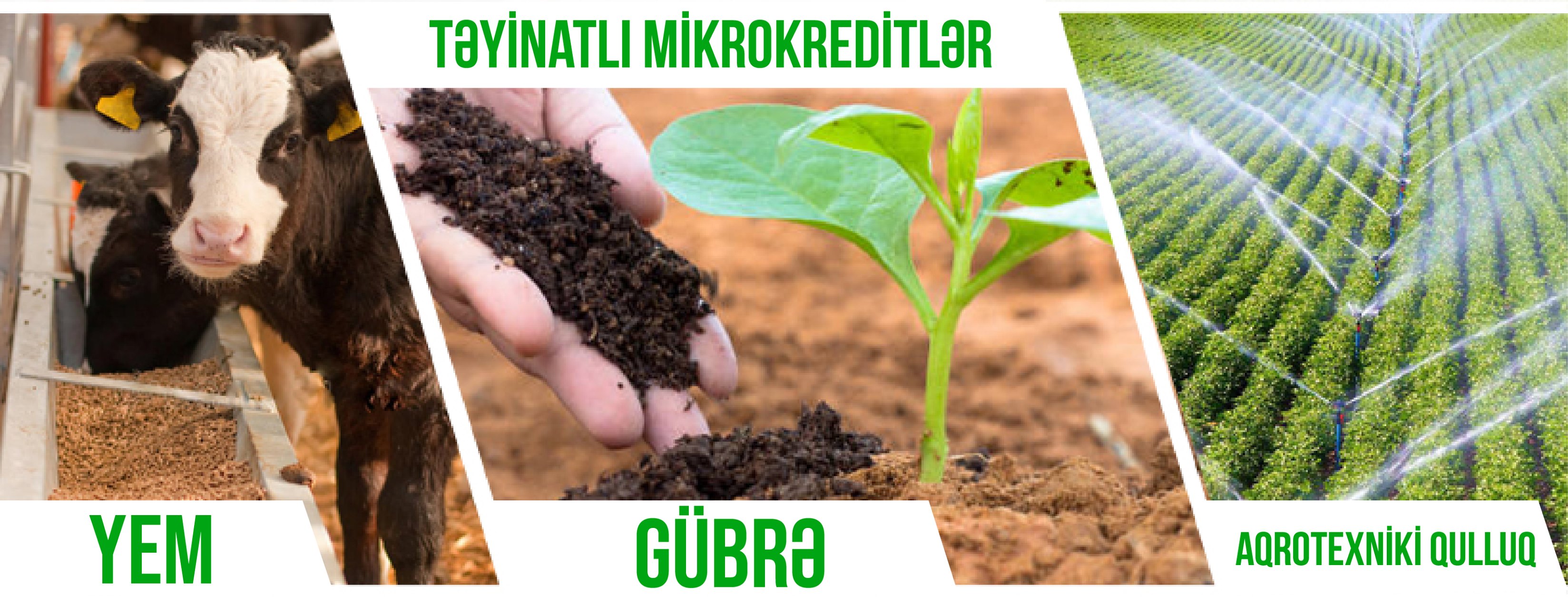 Bu il aqrar kredit və güzəştlərdən 5623 fermer və sahibkar  yararlanıb
