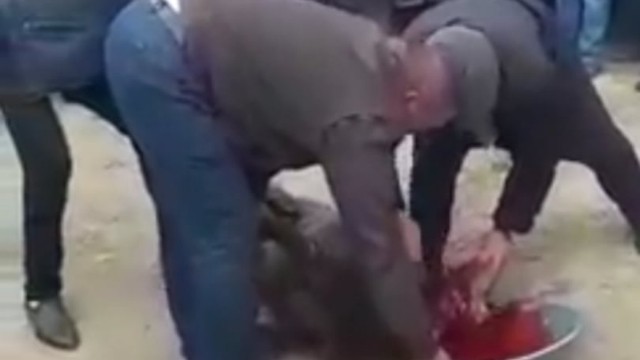 Ata şəhid oğlunu qurbanla qarşıladı - VİDEO  