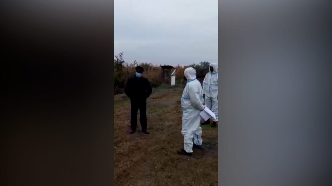 Koronavirus xəstəsi koronavirusdan ölənin dəfnində - FOTOLAR  