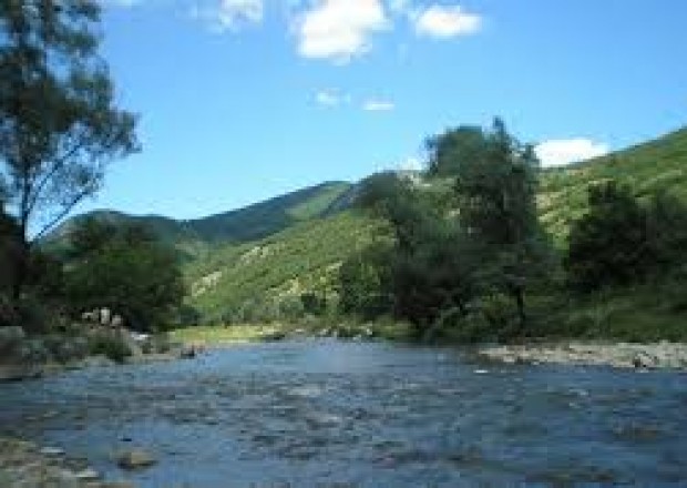 Bu çay və göllərdə ekoloji tarazlıq pozulub