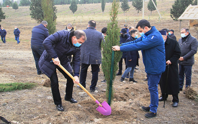 Gəncədə şəhidlərimizin xatirəsinə 2783 ağac əkildi