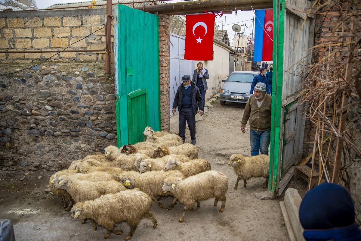 700-dən çox şəhid və qazi ailəsi özünüməşğulluq proqramına cəlb edildi - FOTO