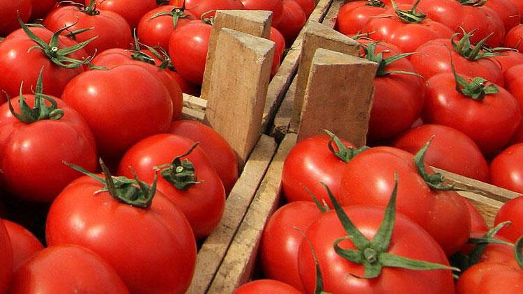 Rusiya Azərbaycandan pomidor qadağasını yumşaltdı