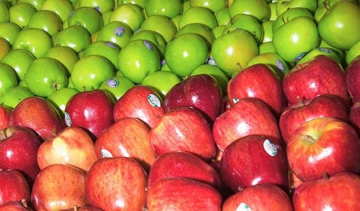 Rusiya Azərbaycandan alma qadağasını götürdü