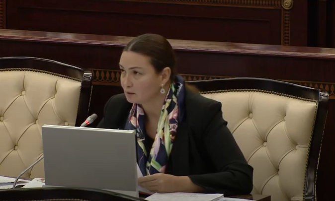 Qənirə Paşayevadan şəhid ailələri və qazilərlə bağlı təkliflər - VİDEO