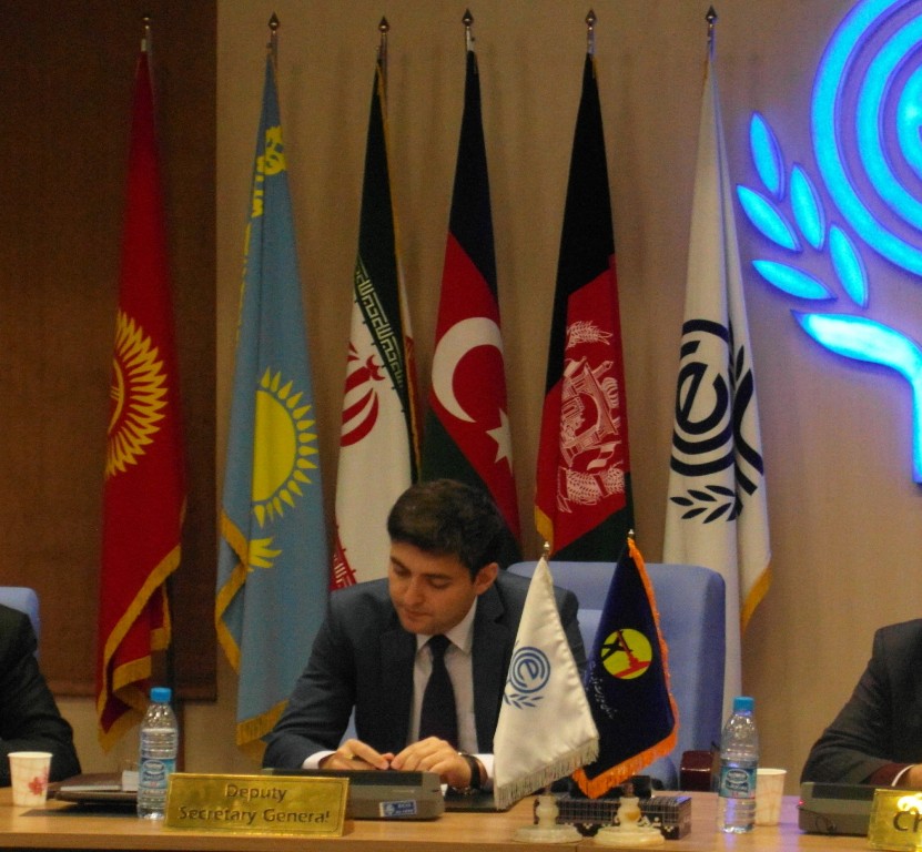 Energetika Nazirliyinə yeni şöbə müdiri TƏYİNATI