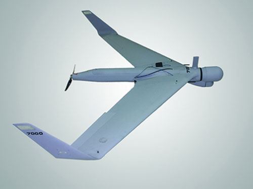 Gürcüstan hərbi dronların istehsalına başlaya bilər