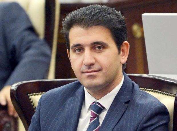 Azərbaycan Diaspor Komitəsi dünyanın hər yerində öz gücünü səfərbər edib - Naqif Həmzəyev