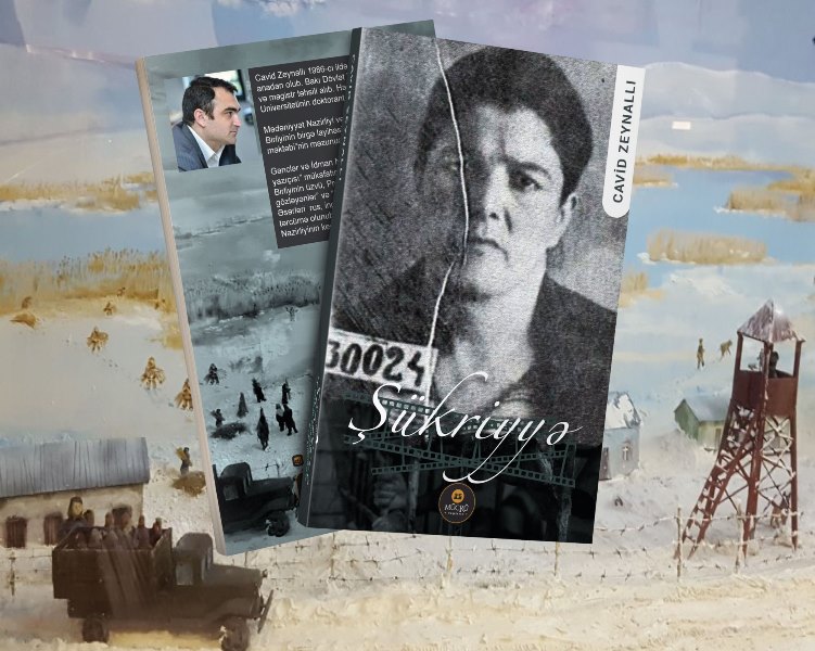 Cavid Zeynallının 