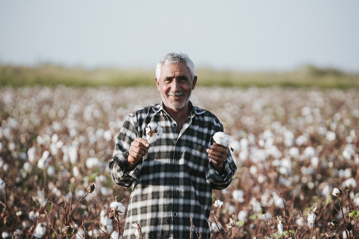 Bitkilərin sığortası üçün müraciətlərin tarixi açıqlandı