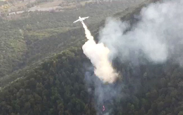 Hirkan Milli Parkındakı yanğına təyyarə cəlb olundu