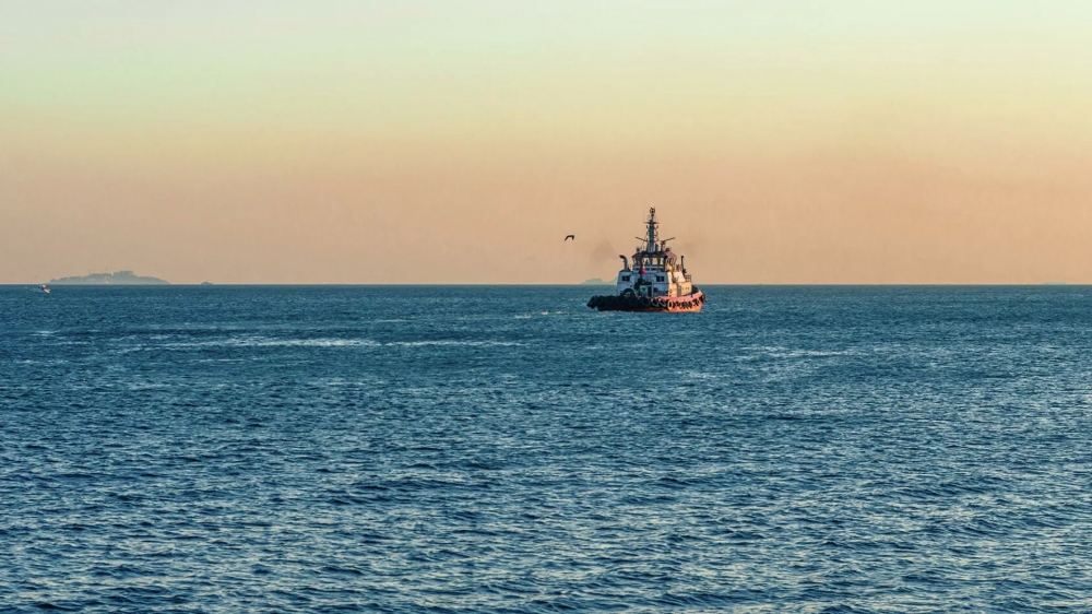 Qara dənizdə batan yük gəmisinin operatoru Ukrayna şirkətidir  