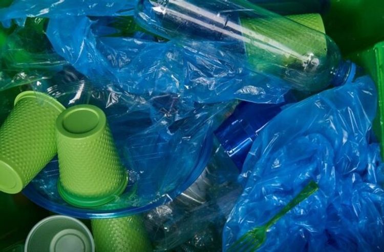 Polietilen torbaların və plastik qabların Azərbaycana gətirilməsi qadağan olundu