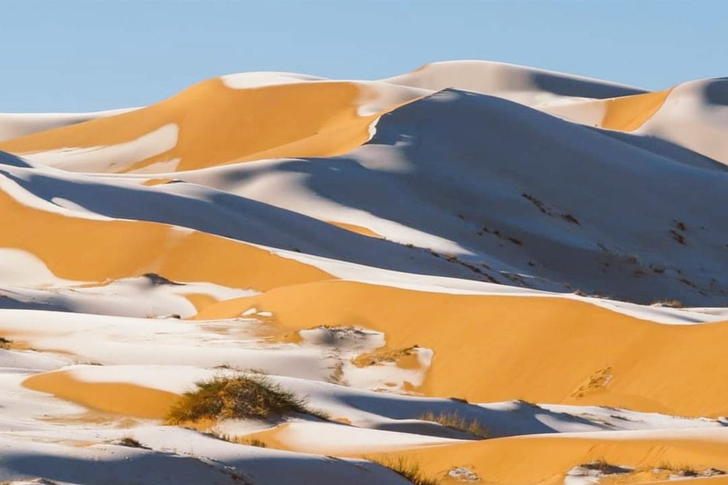 Sahara səhrasına qar yağdı – FOTO
