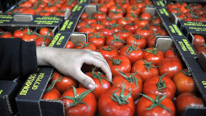 Azərbaycan Rusiya ilə danışıqlara başlayır - Pomidor ixracı bərpa olunur