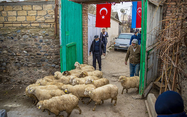 900 şəhid ailəsi özünüməşğulluq proqramına cəlb olundu