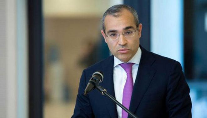 Sahibkarlara 169 mln manat dövlət zəmanətli kredit ayrılıb - Mikayıl Cabbarov