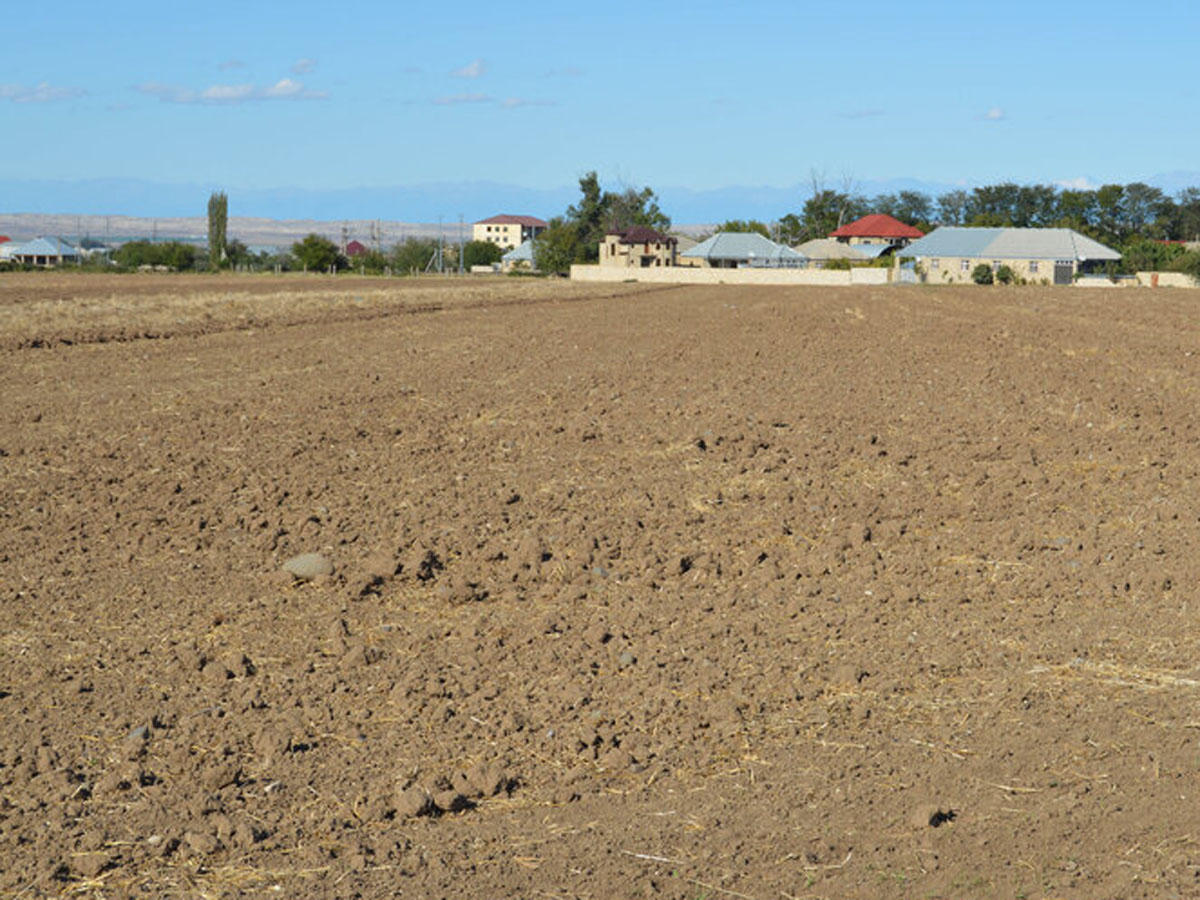 Deqradasiyaya uğramış və yararsız torpaqlar əkinə qaytarılacaq