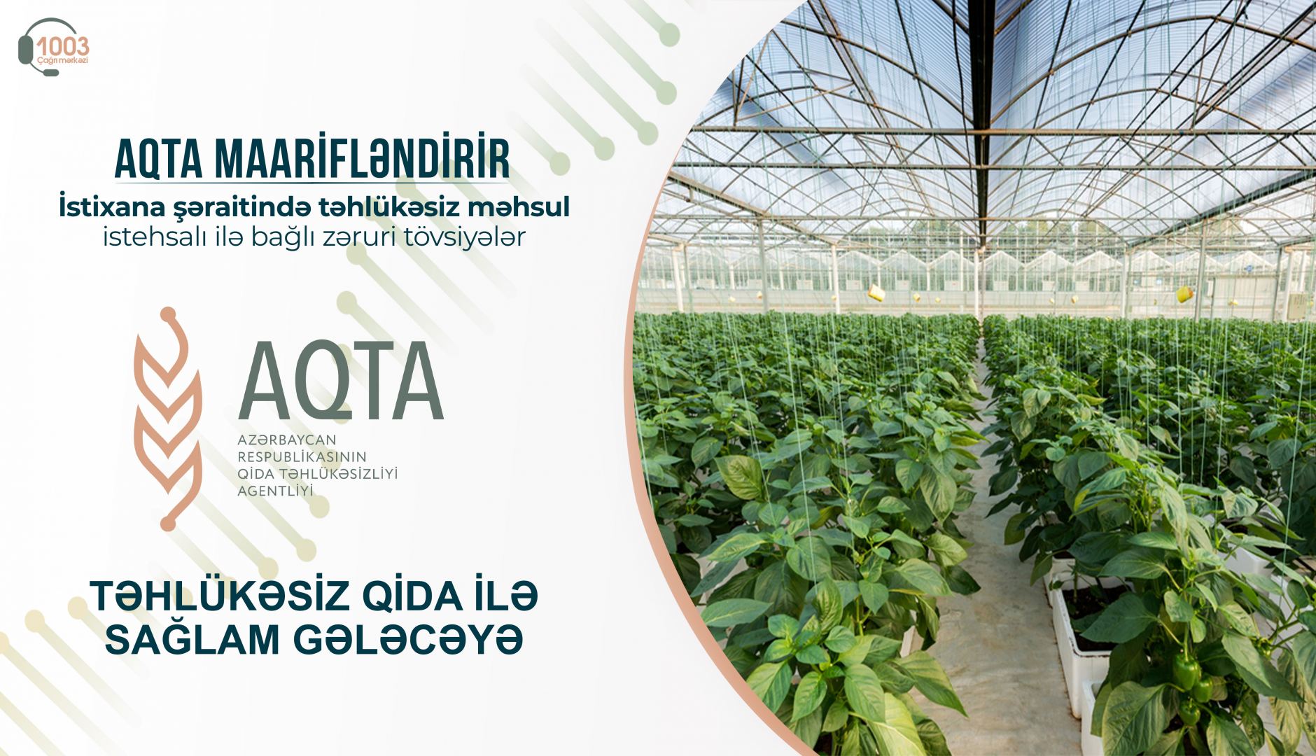 İstixana şəraitində təhlükəsiz məhsul istehsalı ilə bağlı zəruri TÖVSİYƏLƏR