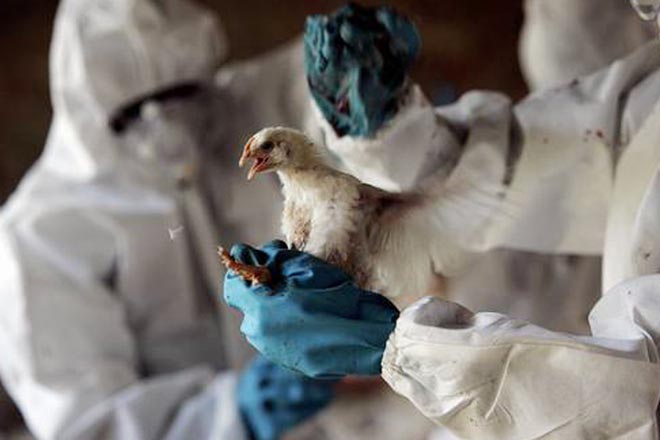 Koronavirusa görə İspaniyada son 50 ilin antirekordu qeydə alındı