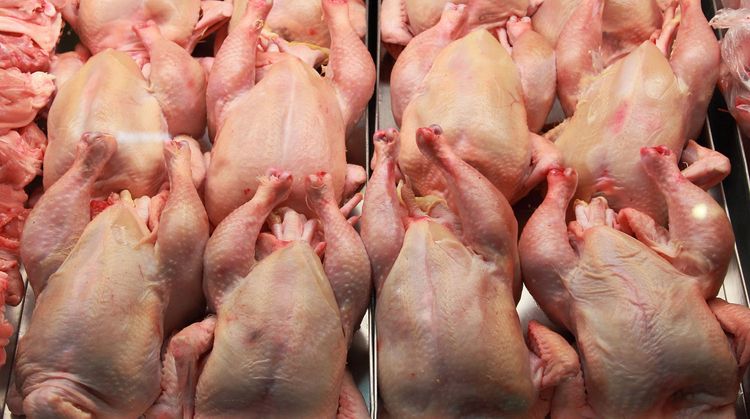 Quş ətində koronavirus tapıldı