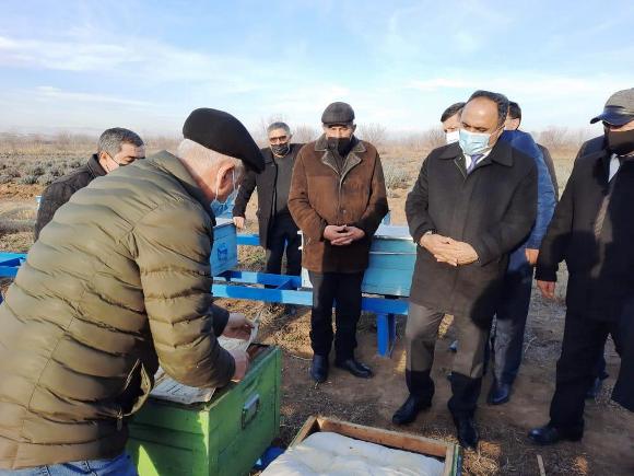 İcra başçısı arıçılıq mərkəzində elmi tədqiqat işləri ilə tanış olub