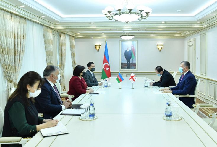 Sahibə Qafarova Gürcüstan səfiri ilə görüşüb