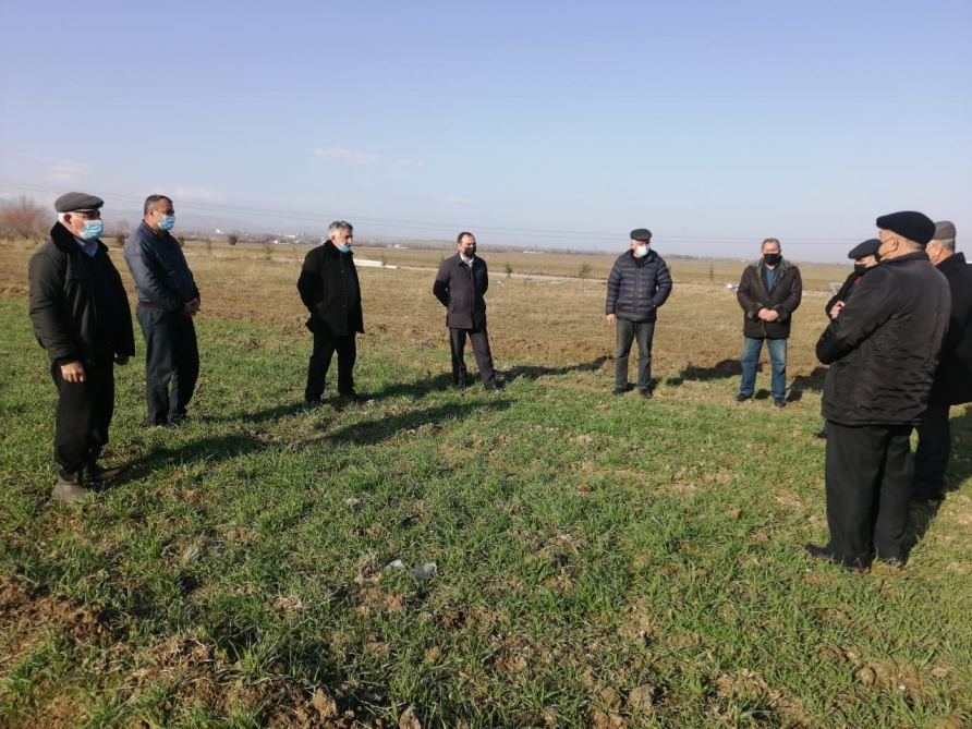 Goranboyda aqrar mütəxəssislərin iştirakı ilə təlim keçirildi