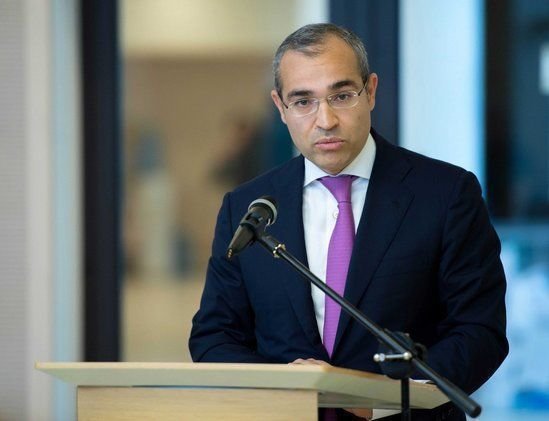 “Aktiv vergi ödəyicilərinin sayı 24 %-dən çox artıb” - Mikayıl Cabbarov