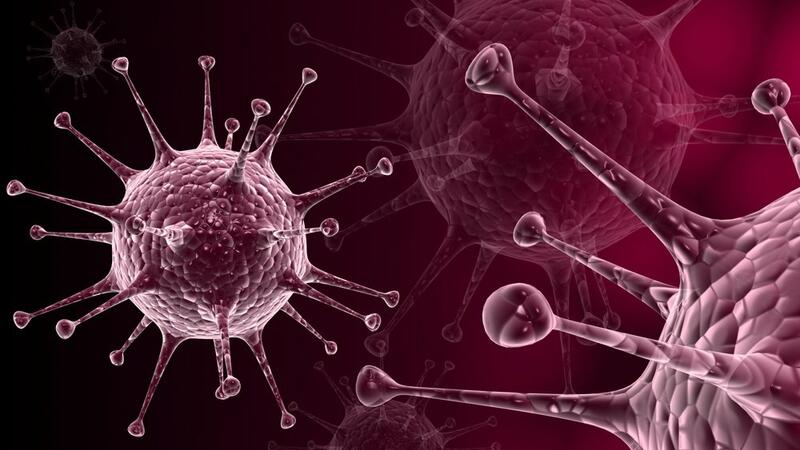 Koronavirusa bənzəyən yeni virus AŞKARLANDI