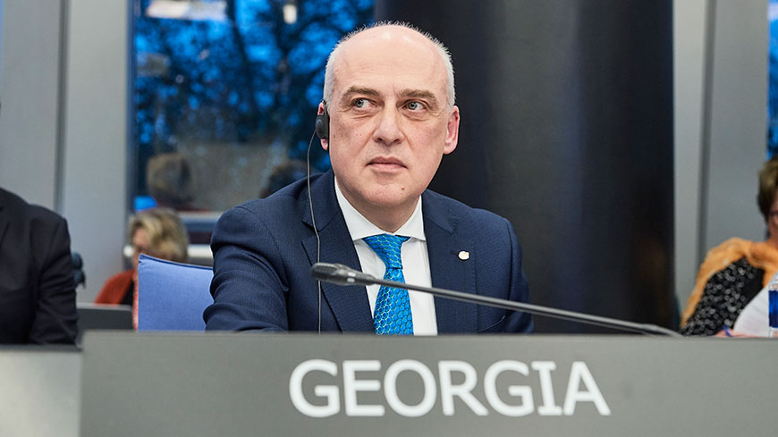 Gürcüstanın xarici işlər naziri Bakıya gəlir