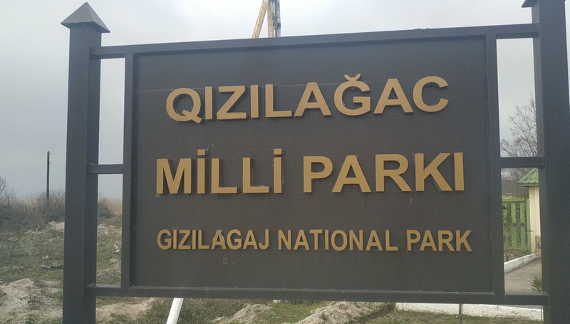 Polis Qızılağac Milli Parkında reyd keçirdi