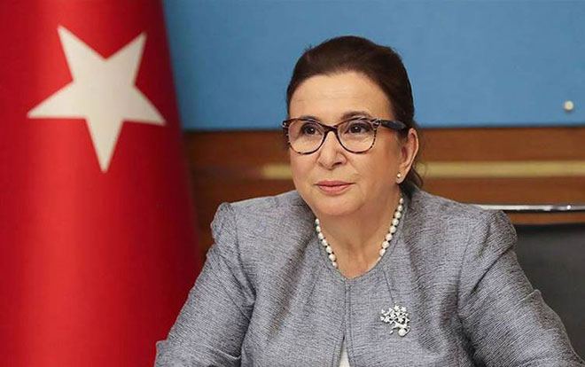 Naxçıvan dəhlizi Türkiyə üçün çox əhəmiyyətlidir - Türkiyəli nazir