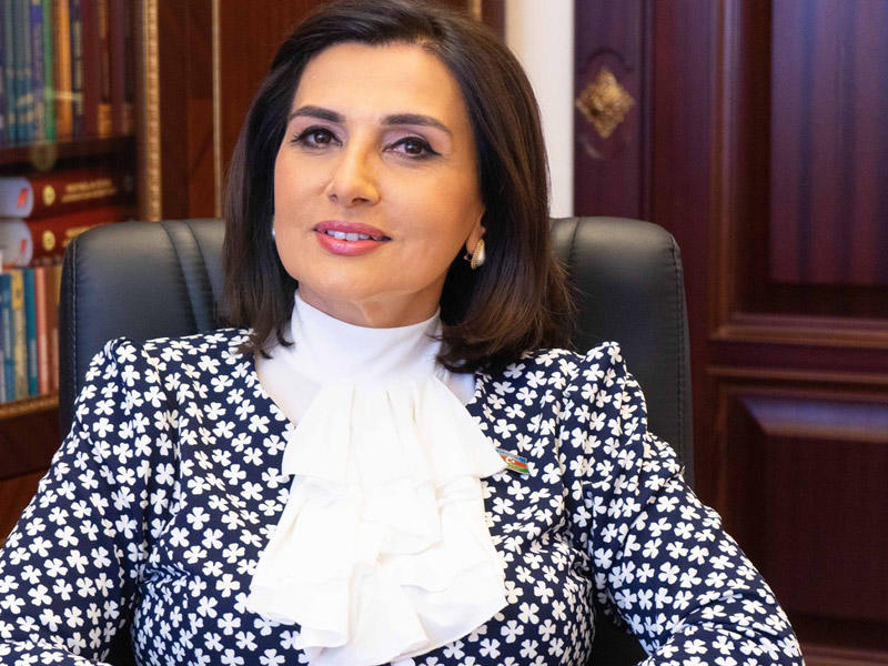 Deputat səfirlə danışdı