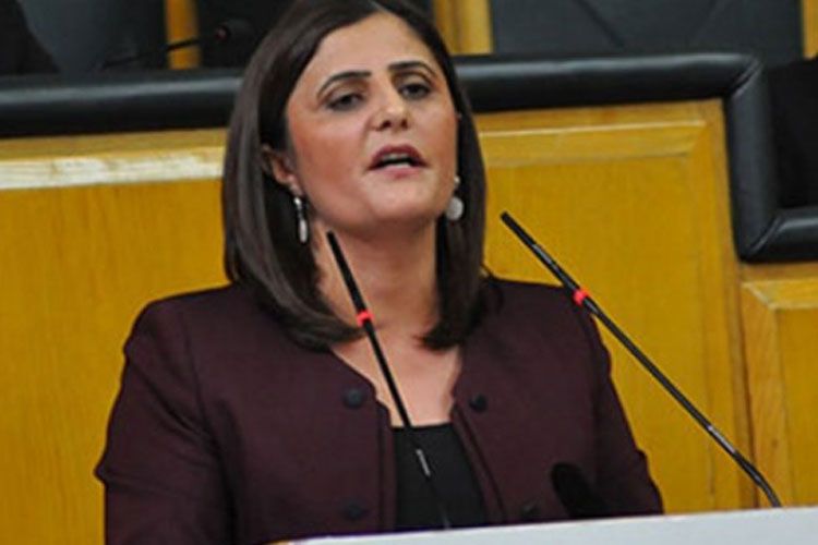 Türkiyədə PKK üzvü olmaqda ittiham olunan millət vəkili haqqında araşdırma başlandı