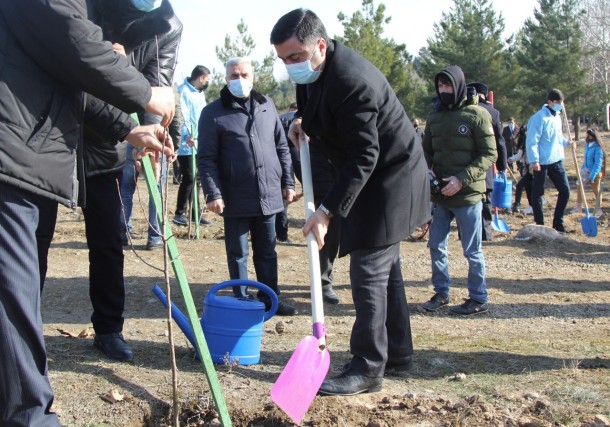 Gəncədə Xocalı qurbanlarının xatirəsinə 613 ağac əkilib - FOTOLAR