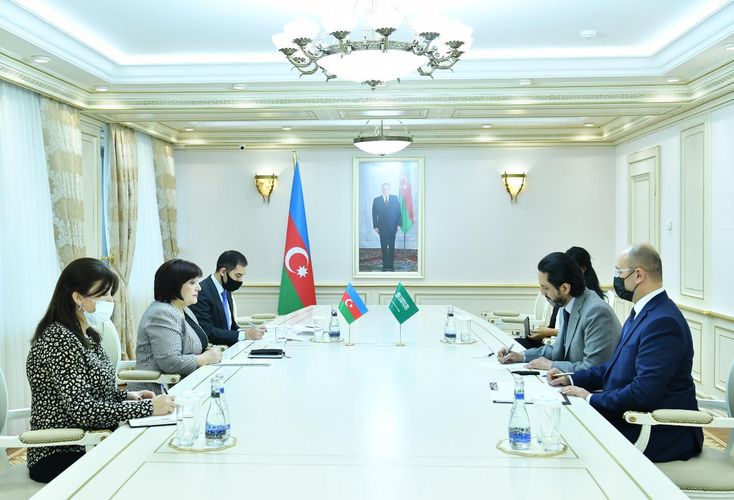 Sahibə Qafarova Səudiyyə Ərəbistanı səfiri ilə görüşüb