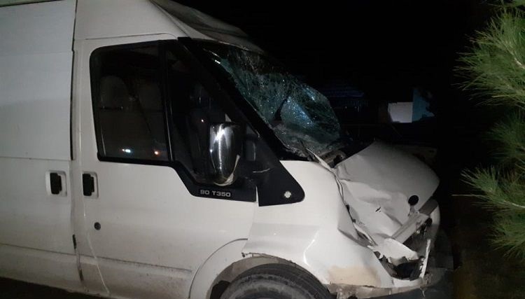 Balakəndə “Ford” atlını vurub öldürdü