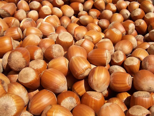 Fındıqda aflatoksin təhlükəsi
