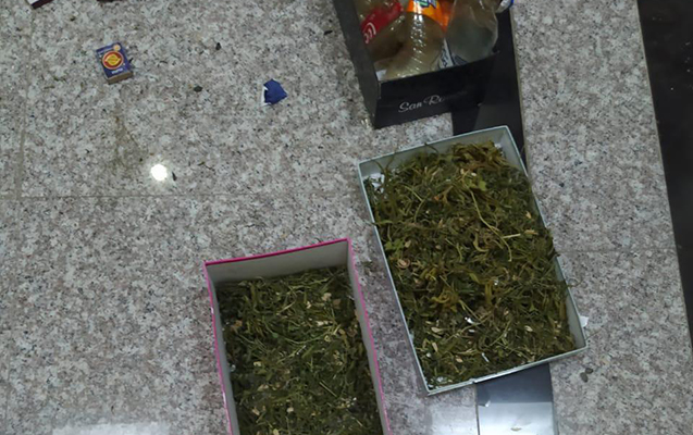 Qusar sakinlərində marixuana aşkarlandı