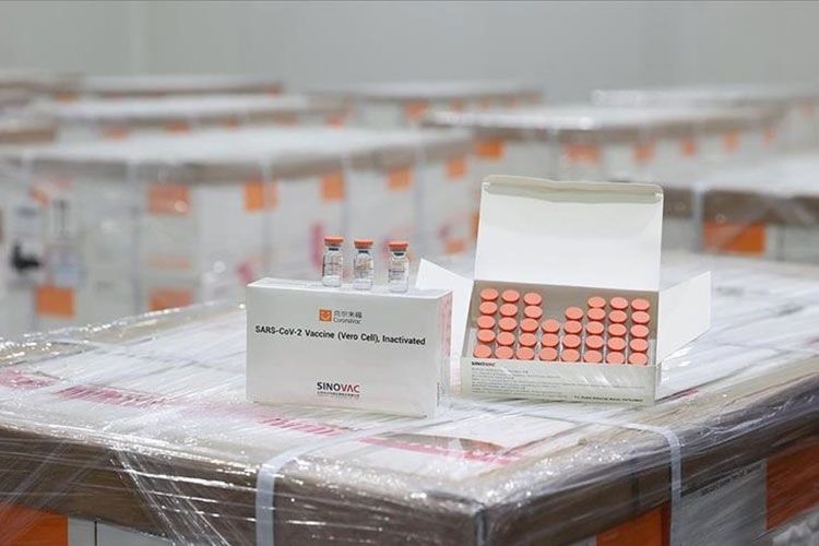 Azərbaycanda vaksinasiya olunanların sayı açıqlandı