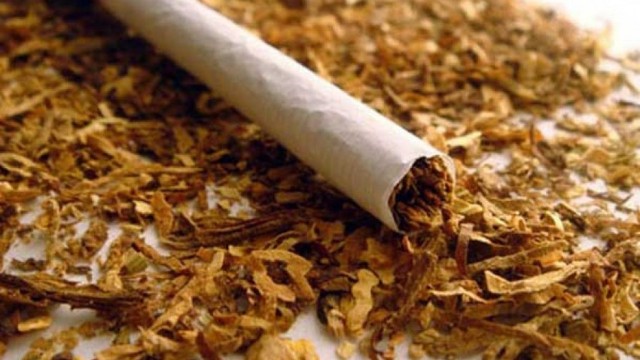 Bu il Azərbaycan tütün idxalına çəkdiyi xərci 34 % artırıb