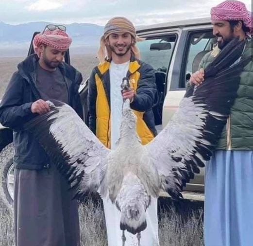 Ərəb turistlər Azərbaycan təbiətinə növbəti dəfə ZƏRBƏ VURDULAR - FOTO  