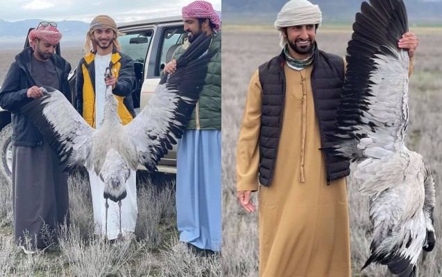 Azərbaycanda nadir quşları ovlayan ərəb turistlər 4000 manat CƏRİMƏLƏNDİ
