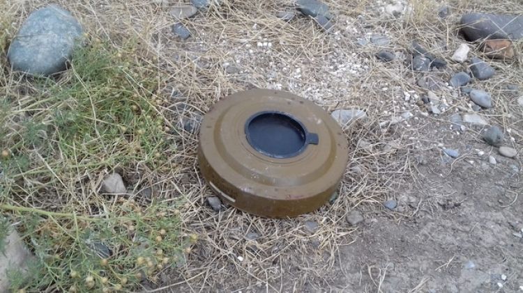 Abşeronda 2 ədəd tank əleyhinə təlim minası aşkarlandı