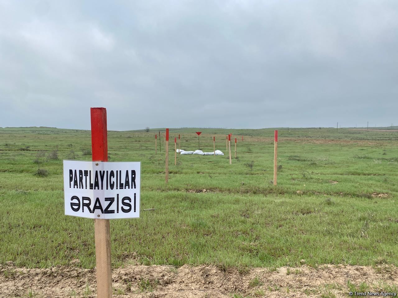 ANAMA Qarabağda minaları tapmaqda çətinlik çəkir