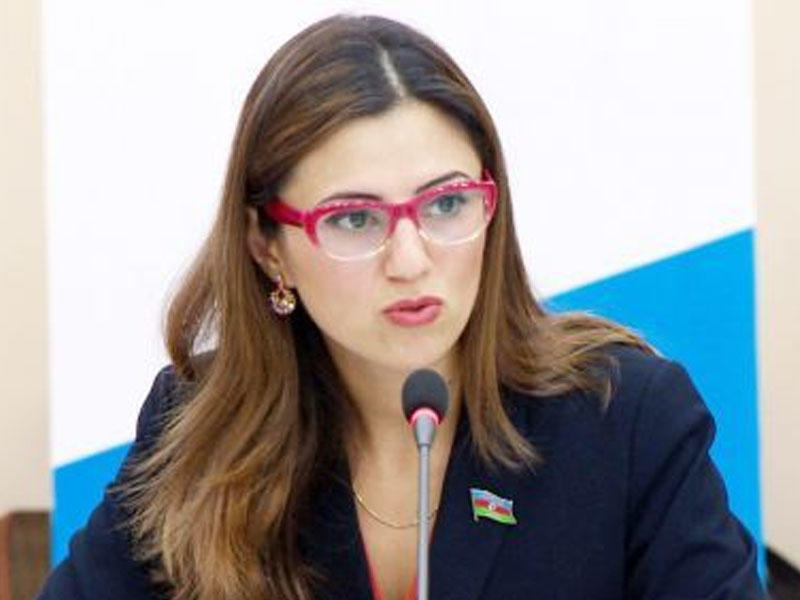Brüsseldə Avropanın diasporlar üzrə siyasəti müzakirə ediləcək